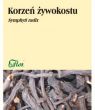 Żywokost korzeń - 50g