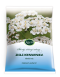 Krwawnik ziele - 50g