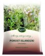 Porost islandzki - 50g