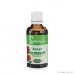Olejek różany - 50ml