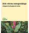 Rdest ostrogorzki - ziele rdestu ostrogorzkiego 50g