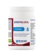 ERGYGLUCIL (dawn. VECTIPUR) - 60 kaps.
