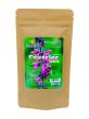 Czyściec leśny Stachys sylvatica - 50g