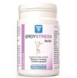 ERGYSTRESS Active - 60 kaps.