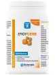 ERGYCEBE (dawn. BIOCEBE) - 90 kaps.