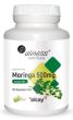 Moringa ekstrakt 20% 500mg - 100 kaps.